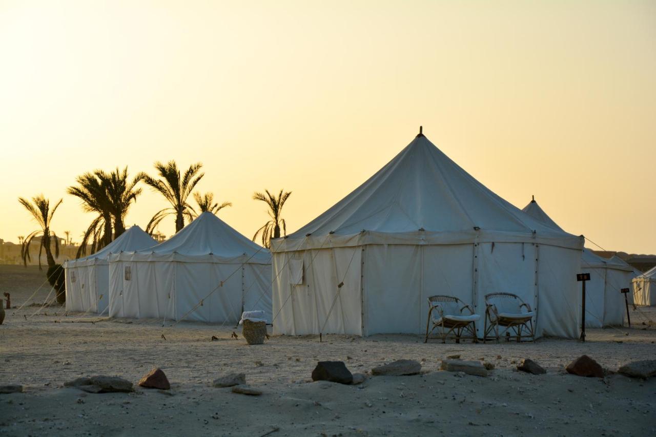 Marsa Shagra Village Abu Dabab Eksteriør billede