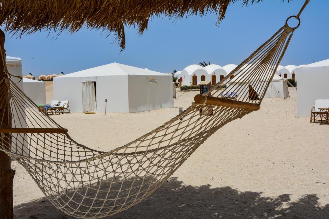 Marsa Shagra Village Abu Dabab Eksteriør billede