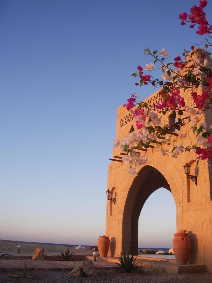 Marsa Shagra Village Abu Dabab Eksteriør billede