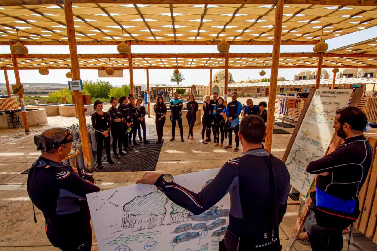 Marsa Shagra Village Abu Dabab Eksteriør billede